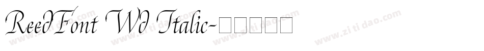 ReedFont Wd Italic字体转换
